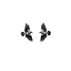 Lendavad varesed Kõrvarõngad